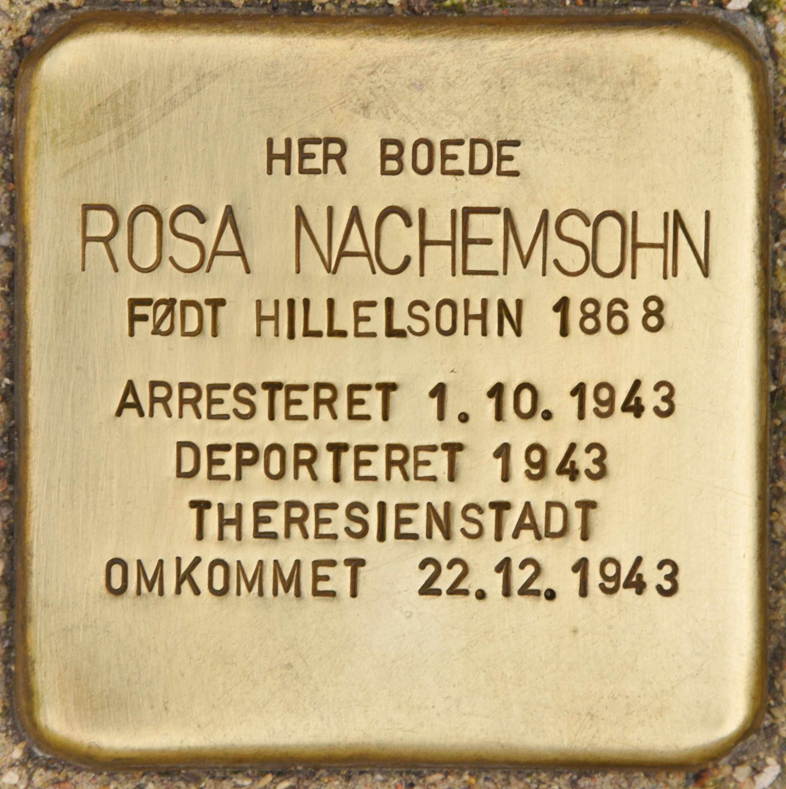 Stolperstein dedicated to Rosa Nachemsohn