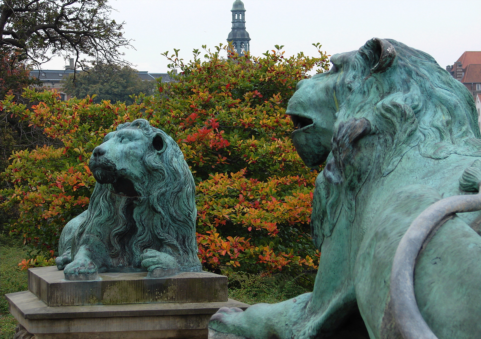 Two resting lions
